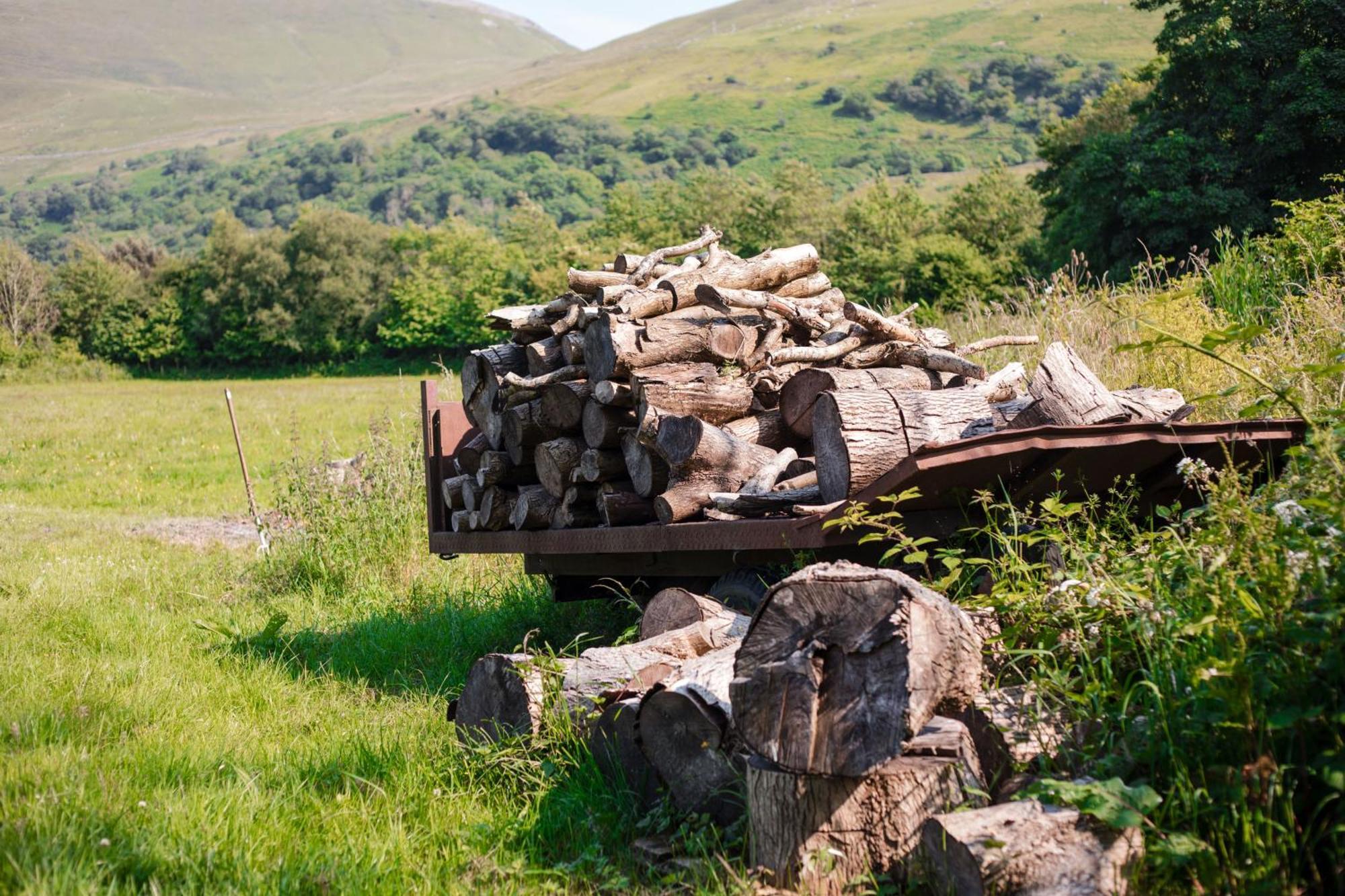 Trigonos - Quiet, Peaceful, Vegetarian B&B And Retreat Centre Nantlle Exterior foto