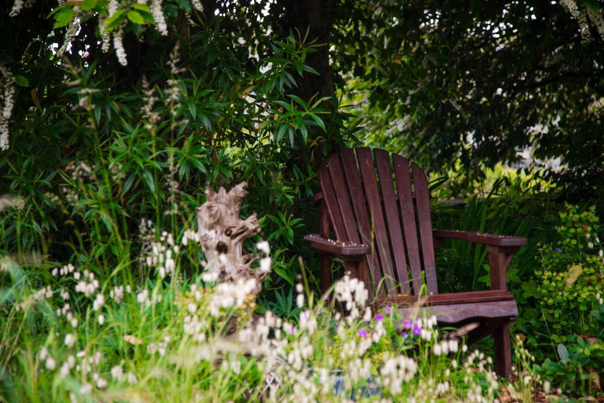 Trigonos - Quiet, Peaceful, Vegetarian B&B And Retreat Centre Nantlle Exterior foto