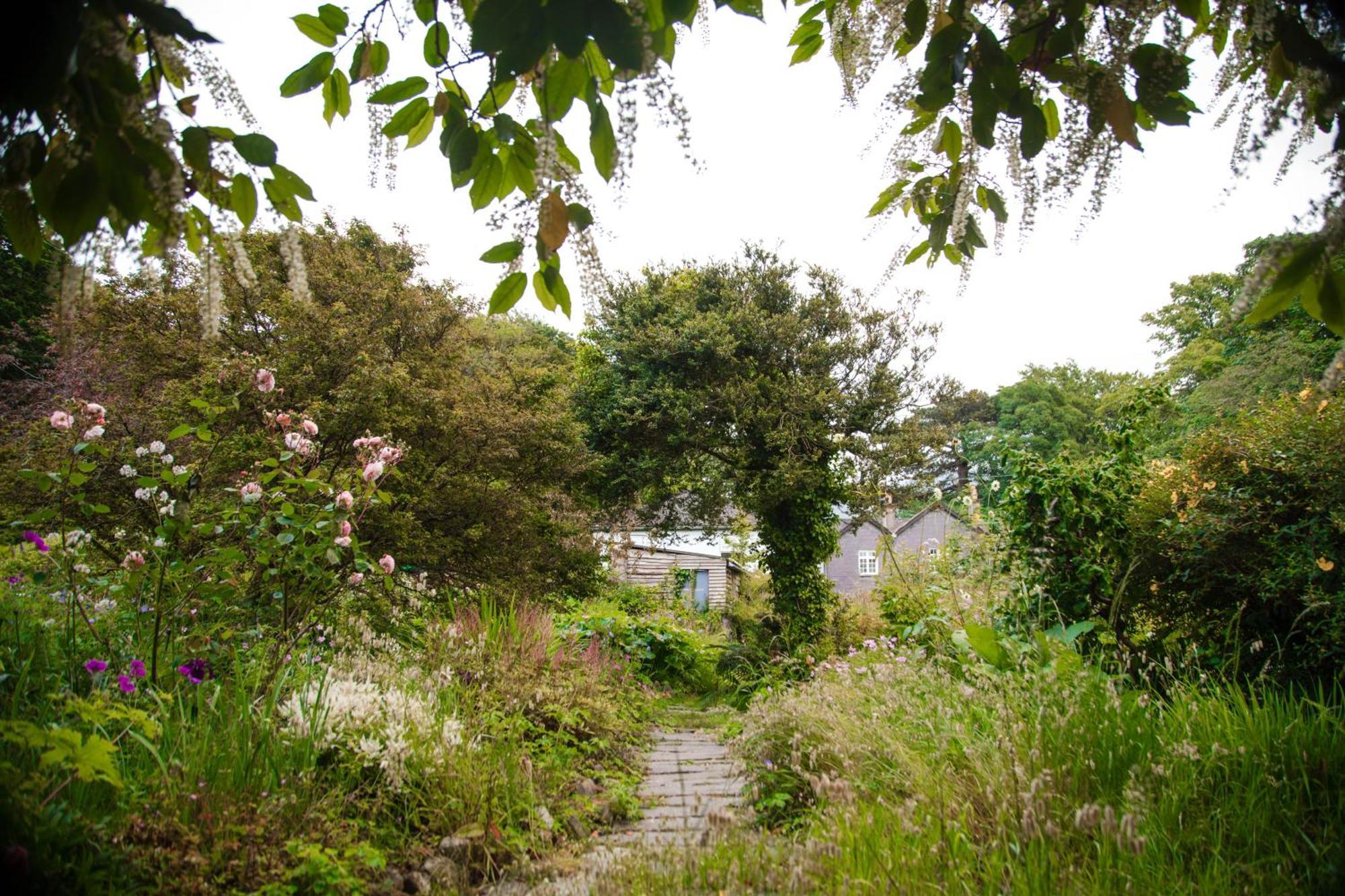 Trigonos - Quiet, Peaceful, Vegetarian B&B And Retreat Centre Nantlle Exterior foto