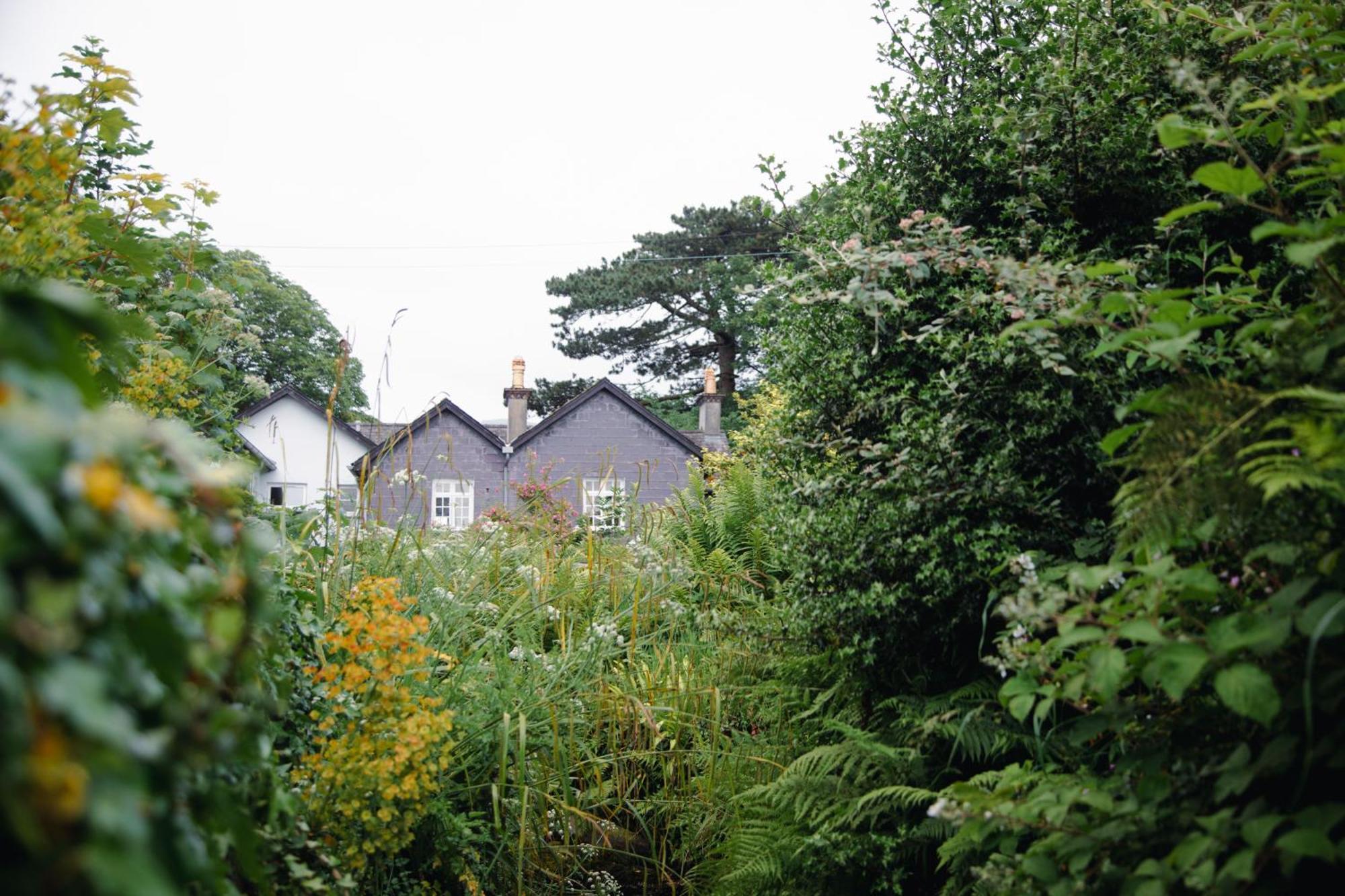Trigonos - Quiet, Peaceful, Vegetarian B&B And Retreat Centre Nantlle Exterior foto